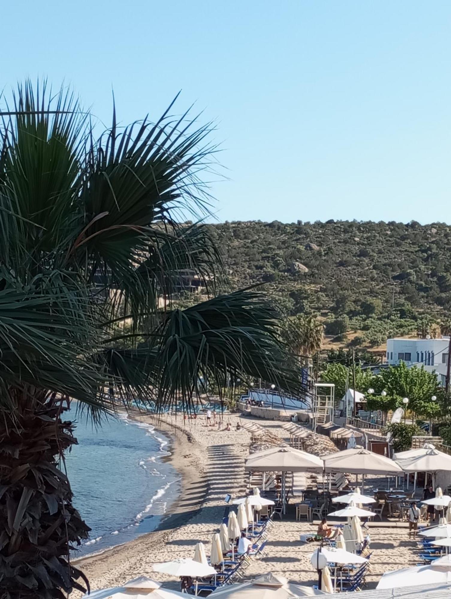 Svetlana & Michalis Oasis Hotel Agia Marina  Exterior photo